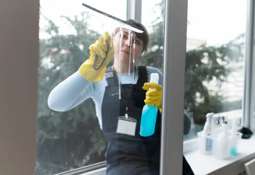 Nettoyage de vitres intérieures et extérieures à Sallenôves